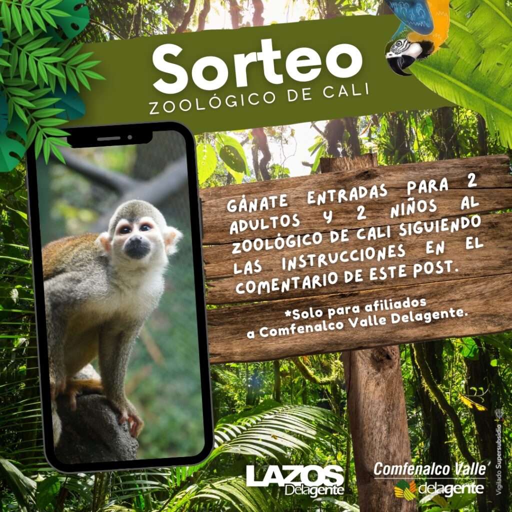 Post de Instagram Zoológico fotográfico verde